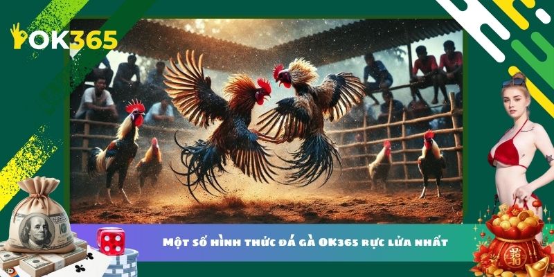 Một số hình thức đá gà OK365 rực lửa nhất